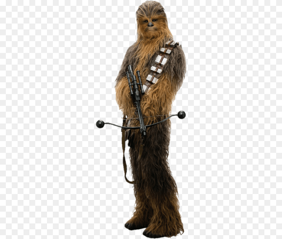Star Wars Chewbacca, Adult, Female, Person, Woman Free Png