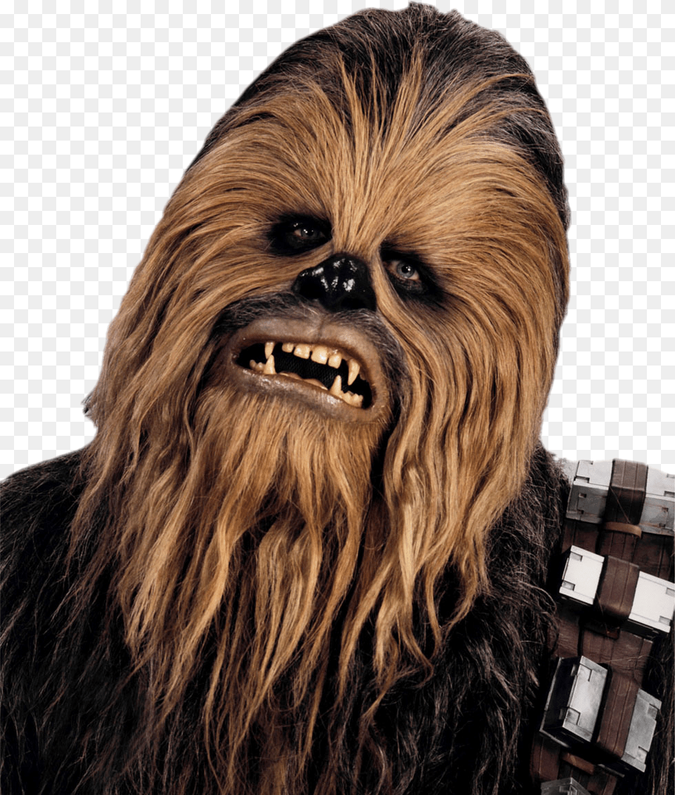 Star Wars Chewbacca Face Chewbacca Google Pixel Xl Case, Adult, Person, Woman, Female Png Image