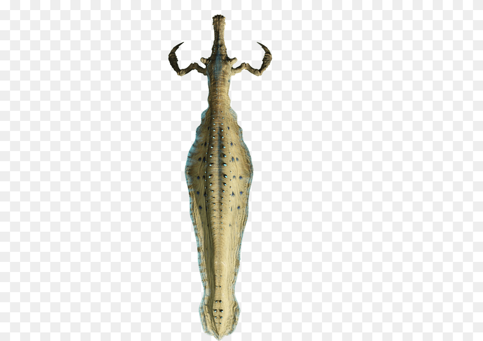 Star Wars Colo Claw Fish, Sword, Weapon, Animal, Lizard Png Image