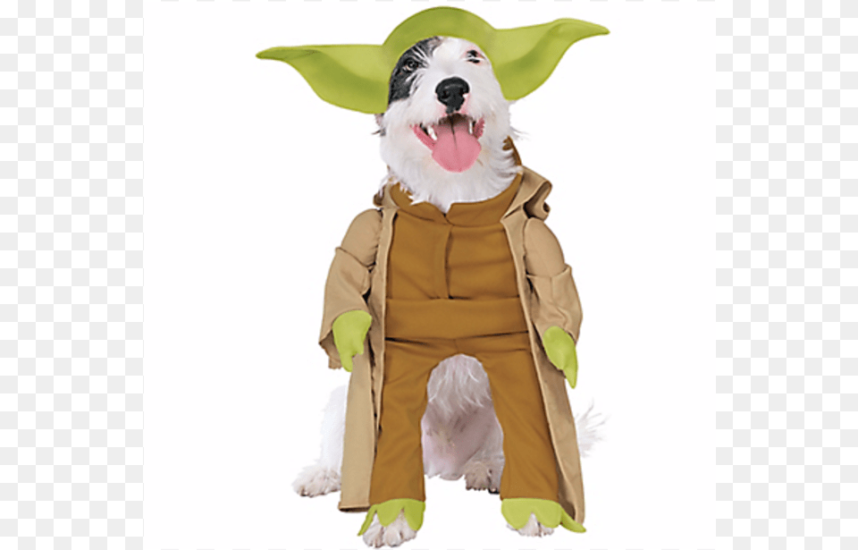 Star Wars Costumes, Clothing, Coat, Costume, Person Free Transparent Png