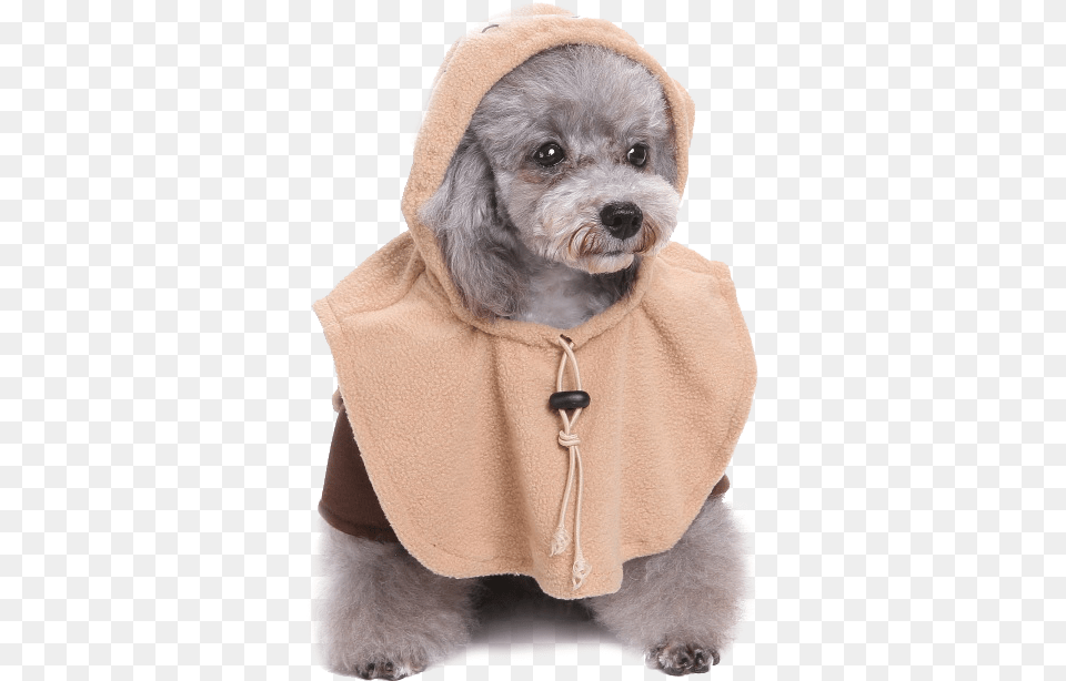 Star Wars Ewok Dog Costume 2006, Clothing, Coat, Hood, Sweatshirt Free Transparent Png
