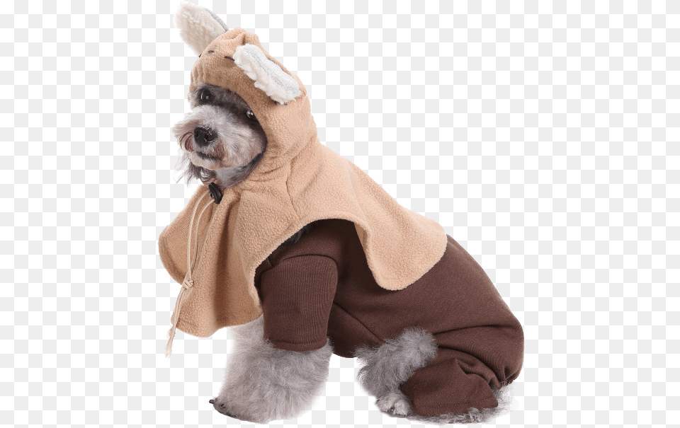 Star Wars Ewok Dog Costume Costumes Pet Threads, Clothing, Person, Animal, Bear Png