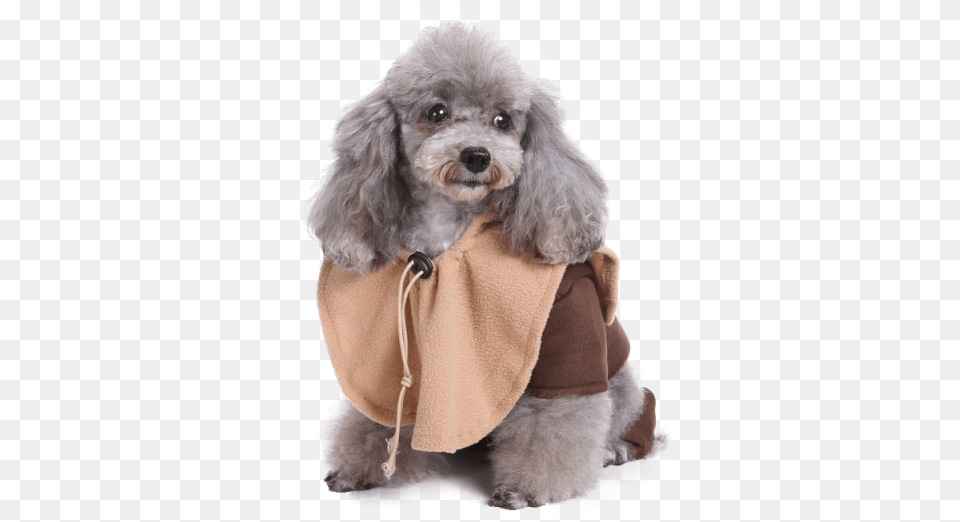 Star Wars Ewok Dog Costume Sc 1 St Pet Threads Costume, Animal, Canine, Mammal, Poodle Free Png Download