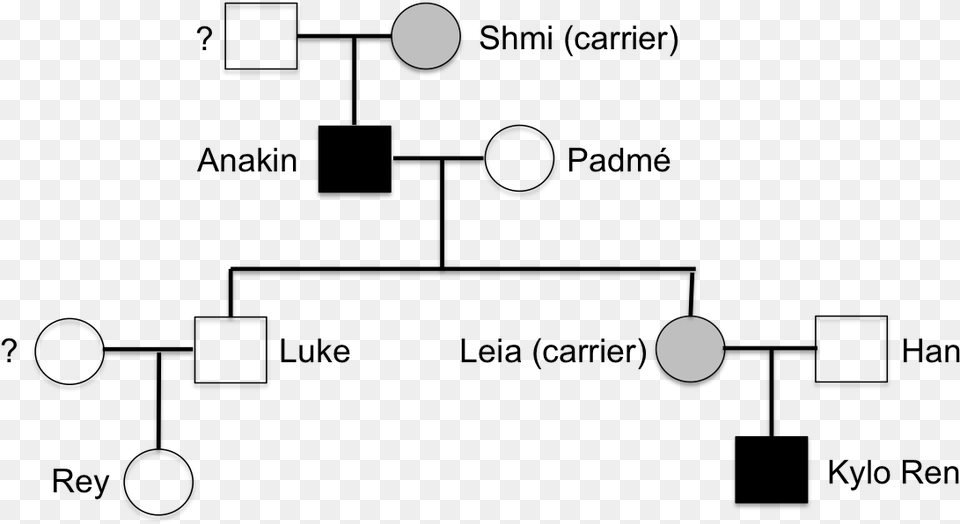 Star Wars Genetics, Lighting, Nature, Night, Outdoors Png Image