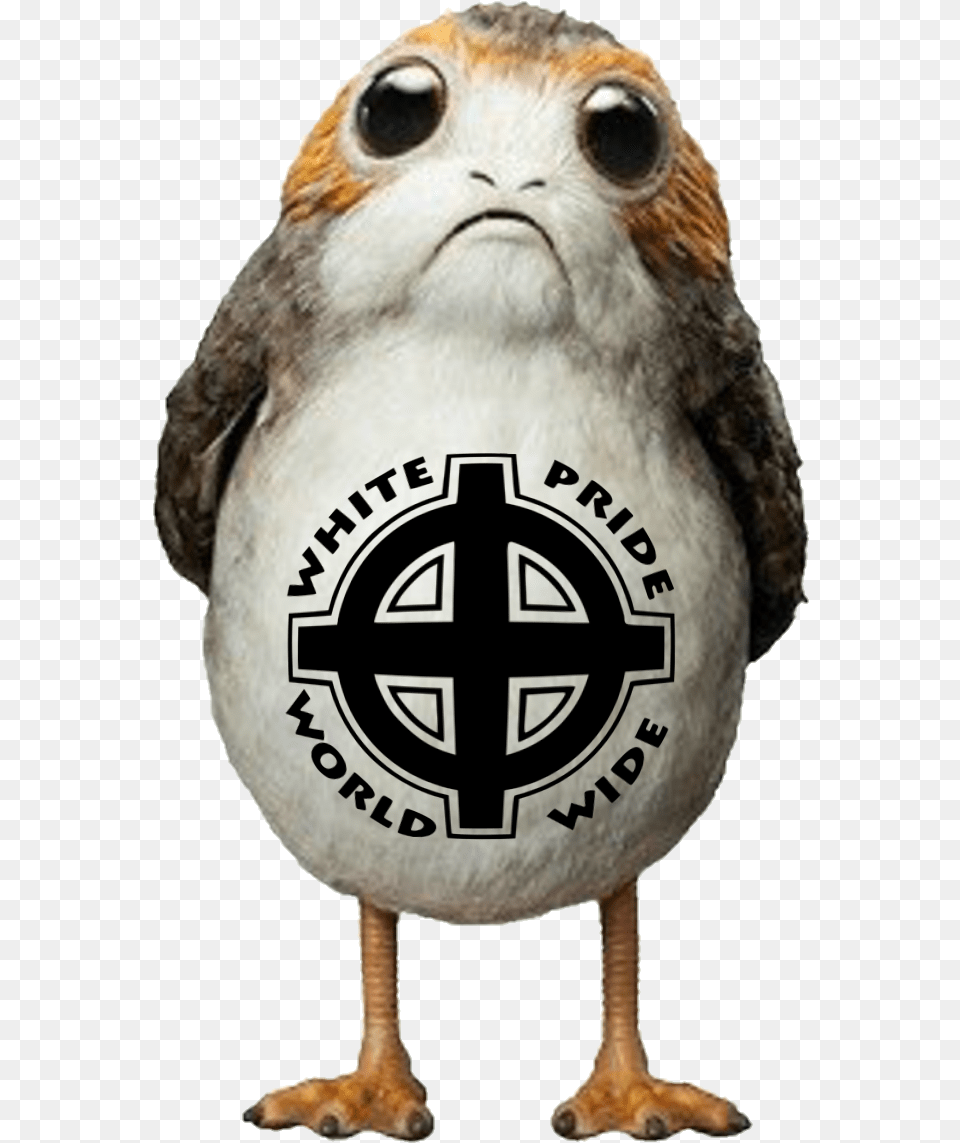 Star Wars New Creature Download Star Wars New Creature, Animal, Beak, Bird Png