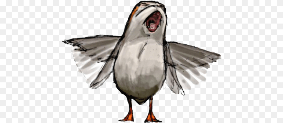 Star Wars Porg Drawing Star Wars Skellig Michael Puffins, Animal, Beak, Bird, Sparrow Free Png Download