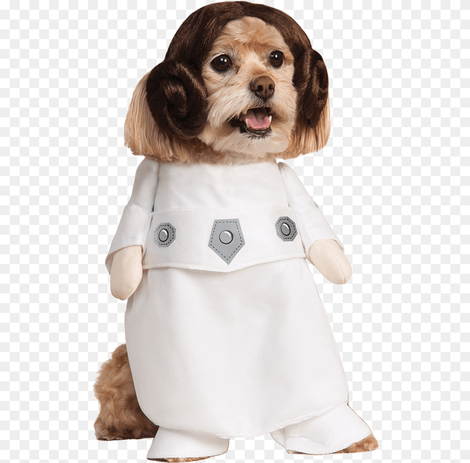 Star Wars Princess Leia Dog Costume, Clothing, Coat, Animal, Pet Free Png Download
