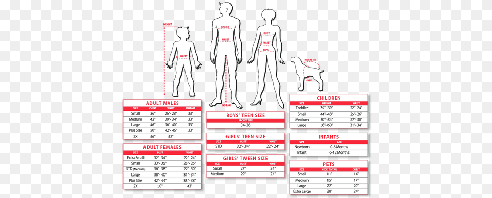Star Wars Rubies Pet Size Chart, Plot, Measurements, Baby, Person Png Image