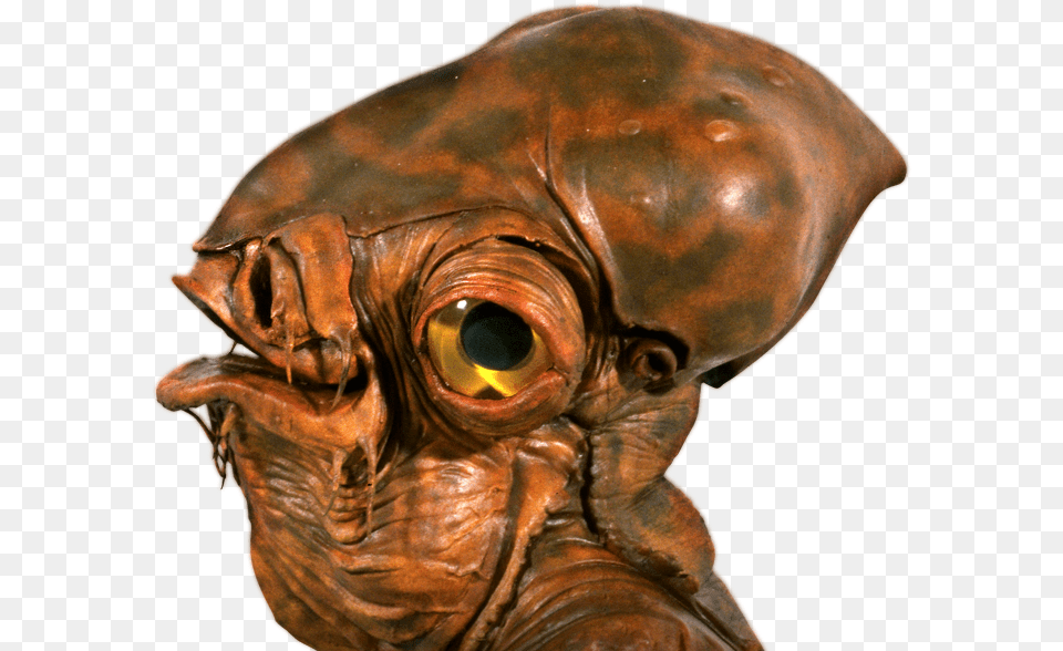 Star Wars Species, Alien, Bronze, Adult, Male Free Transparent Png