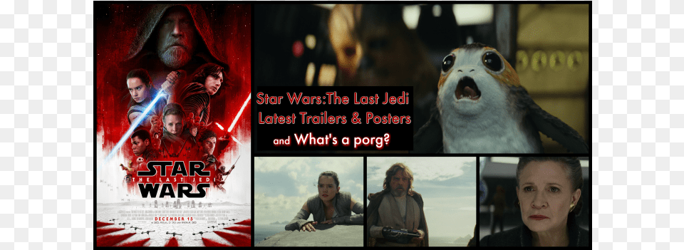 Star Wars The Last Jedi Latest Trailers And Posters Star Wars The Last Jedi Porg 3d, Adult, Person, Female, Collage Free Transparent Png