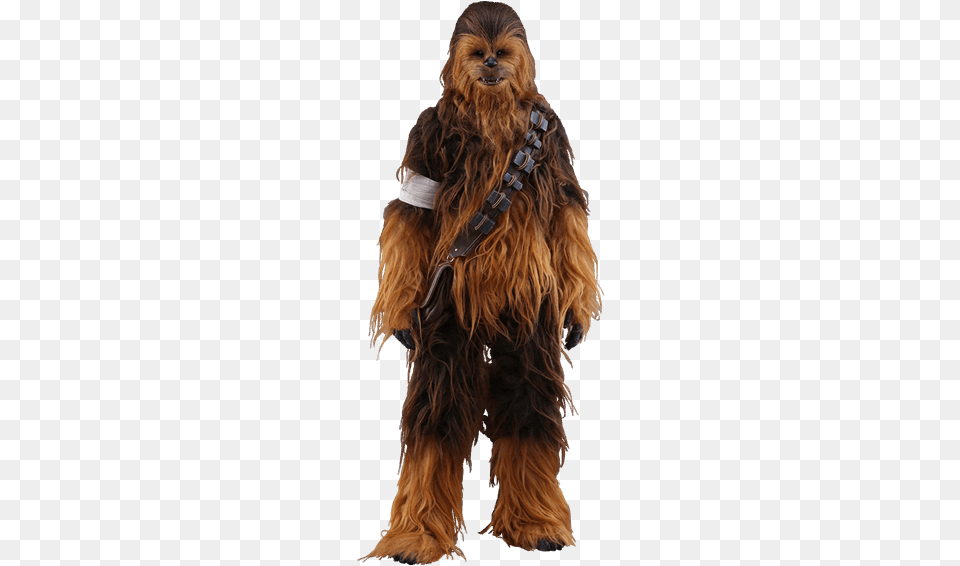Star Wars Wookie Hot Toys Chewbacca Figure From Star Wars, Animal, Canine, Dog, Mammal Free Png