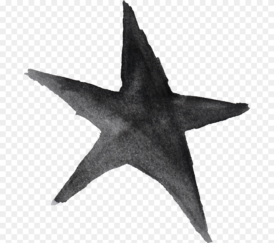 Star Watercolor, Symbol, Star Symbol, Animal, Bird Png Image