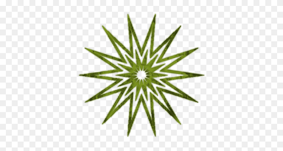 Starburst Clip Art Full Set, Leaf, Plant, Grass, Outdoors Png Image