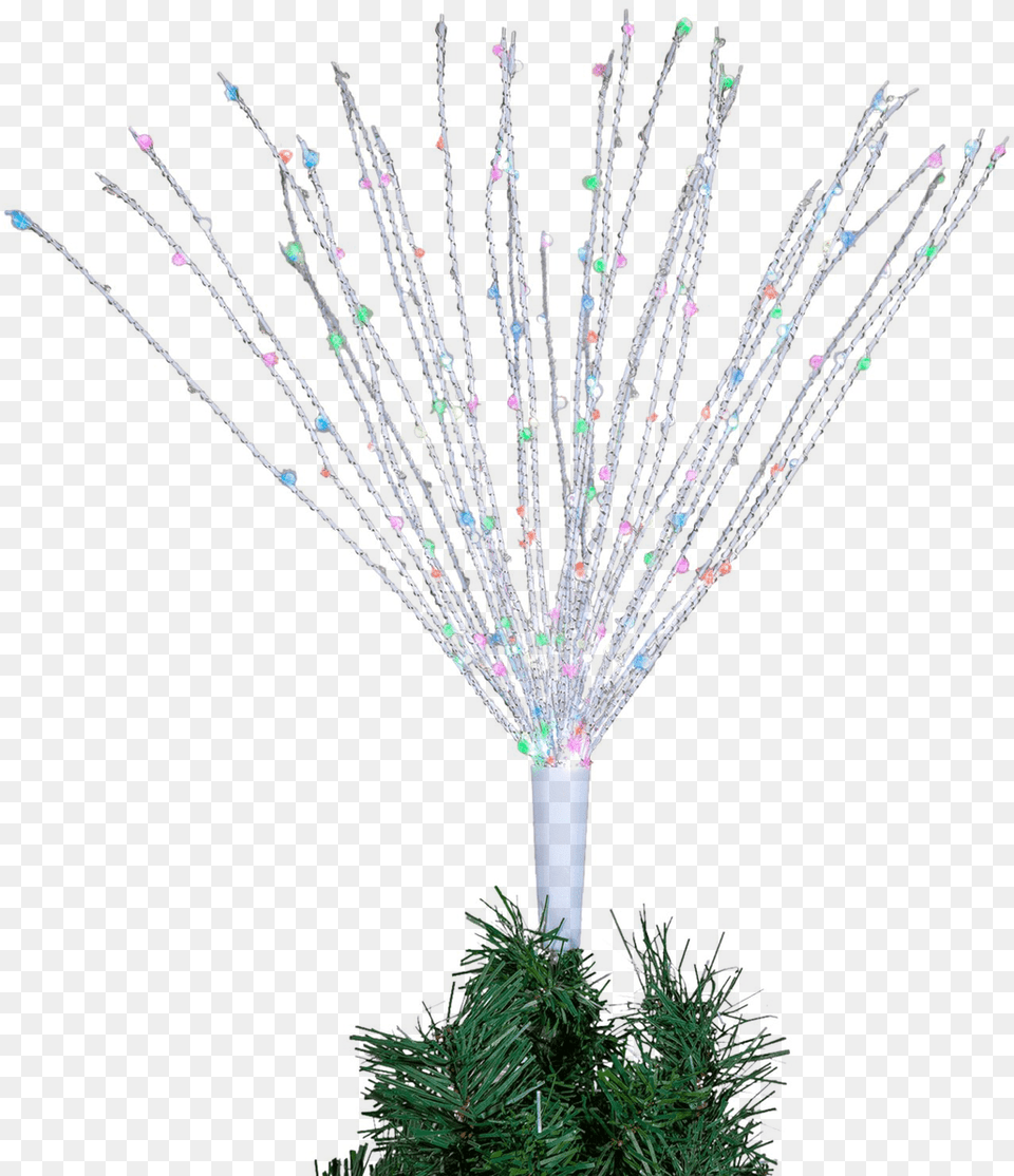 Starburst Multicolor Led Light Tree Topper Tree Topper, Plant, Fireworks, Animal Free Png Download
