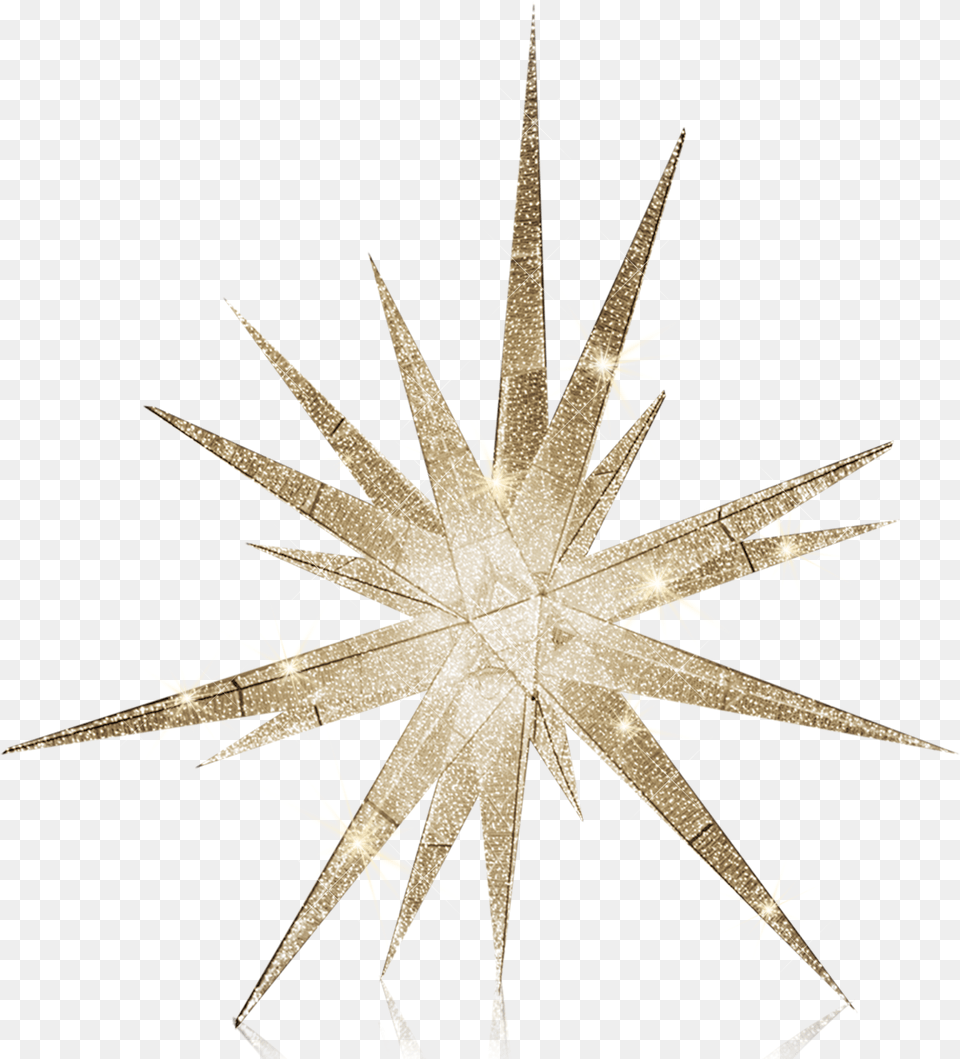 Starburst Nature, Night, Outdoors, Plant Free Transparent Png