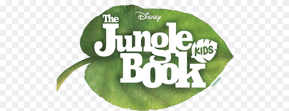 Starcatchers Jungle Book Kids Ntpa Plano Jungle Book Poster By Kids, Herbal, Herbs, Leaf, Plant Free Png