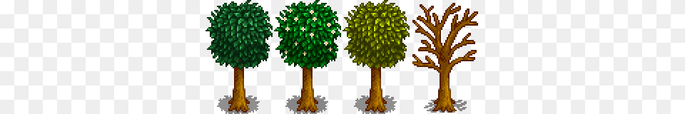 Stardew Valley Trees, Plant, Tree, Vegetation, Green Png