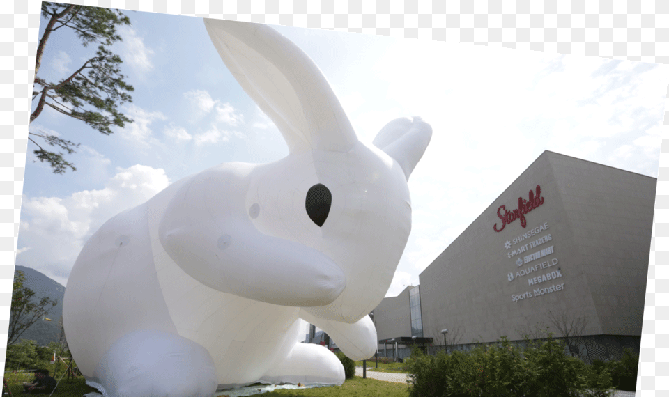 Starfield Hanam Shopping Theme Park Rabbit Domestic Rabbit, Animal, Person, Mammal, Bear Png Image