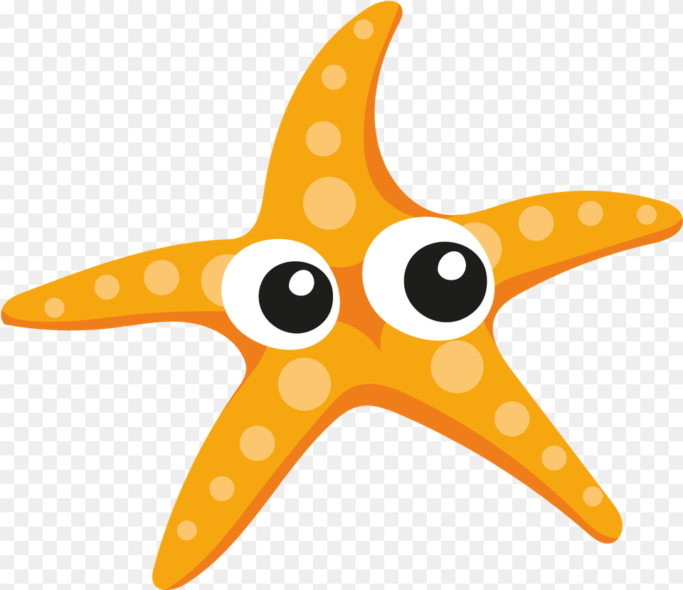 Starfish, Animal, Sea Life, Fish, Shark Png