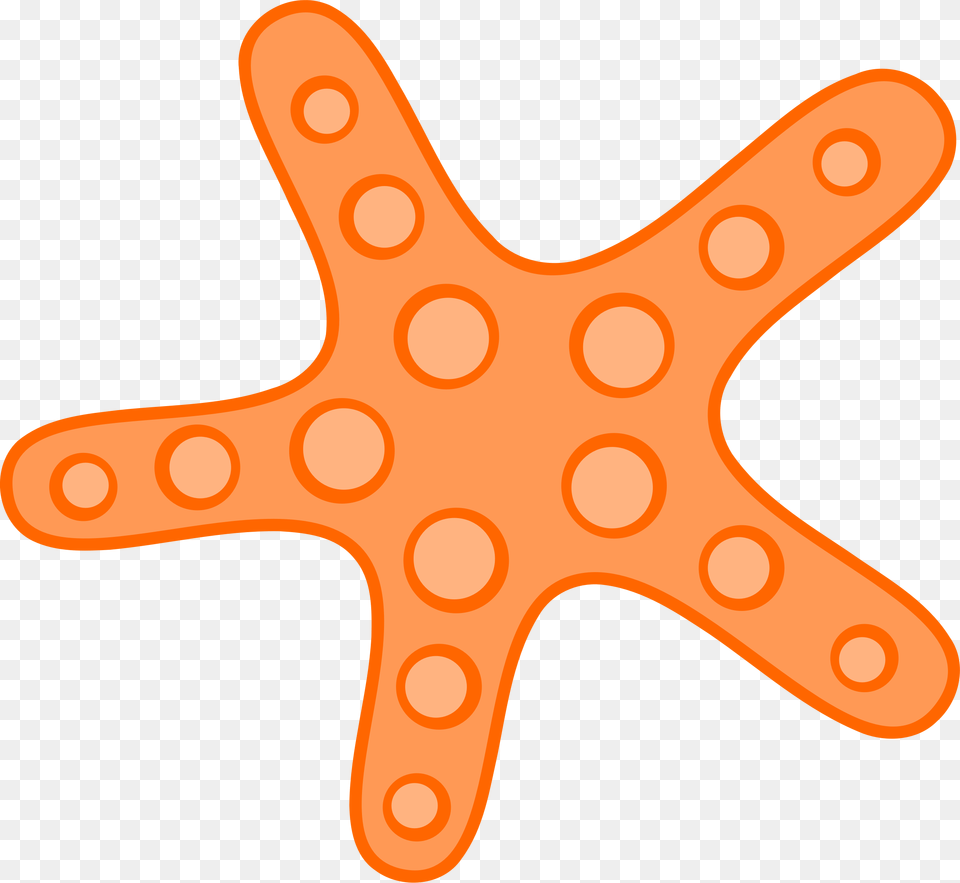 Starfish, Animal, Sea Life, Invertebrate Free Png