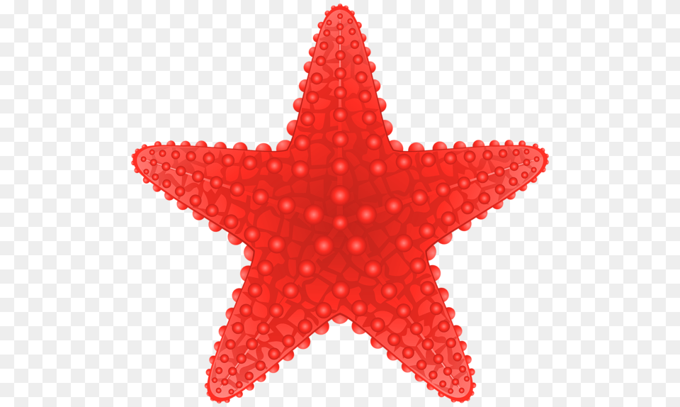 Starfish, Animal, Sea Life Png