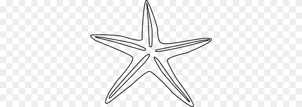 Starfish Gray Free Transparent Png