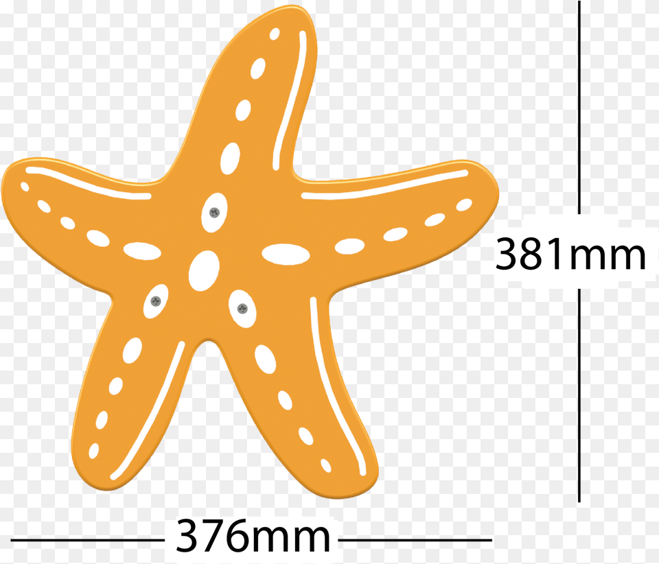 Starfish, Animal, Sea Life, Invertebrate Png