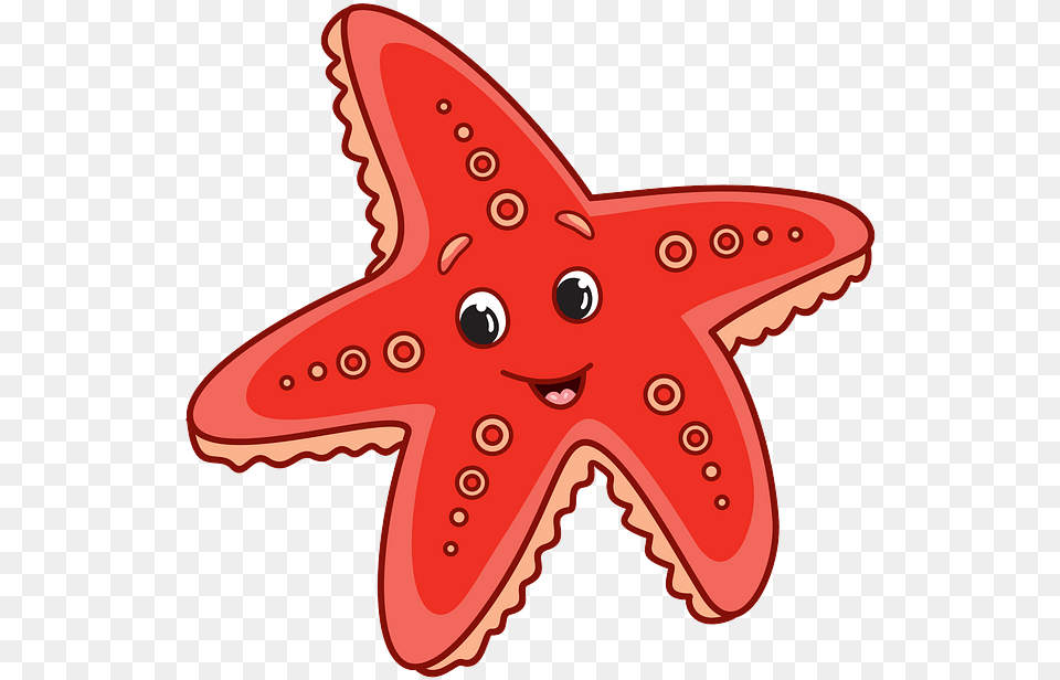 Starfish, Animal, Sea Life, Fish, Shark Free Transparent Png