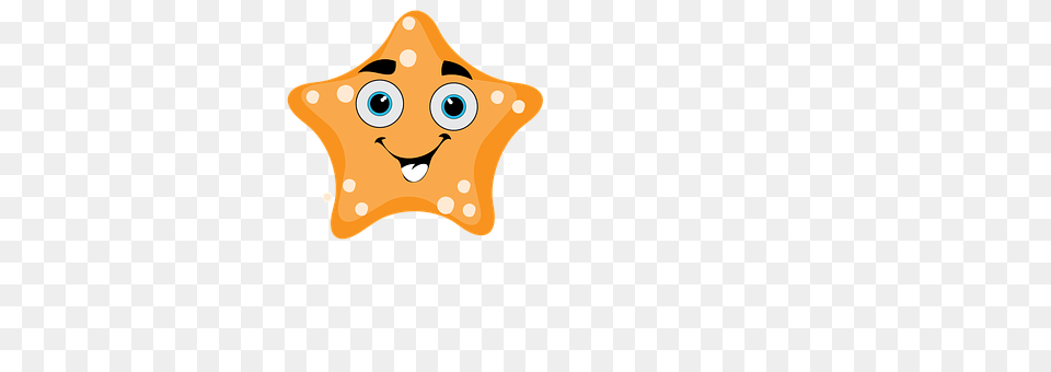 Starfish Food, Sweets, Cookie, Animal Free Png Download