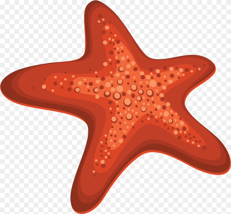 Starfish, Animal, Sea Life, Invertebrate, Fish Png Image