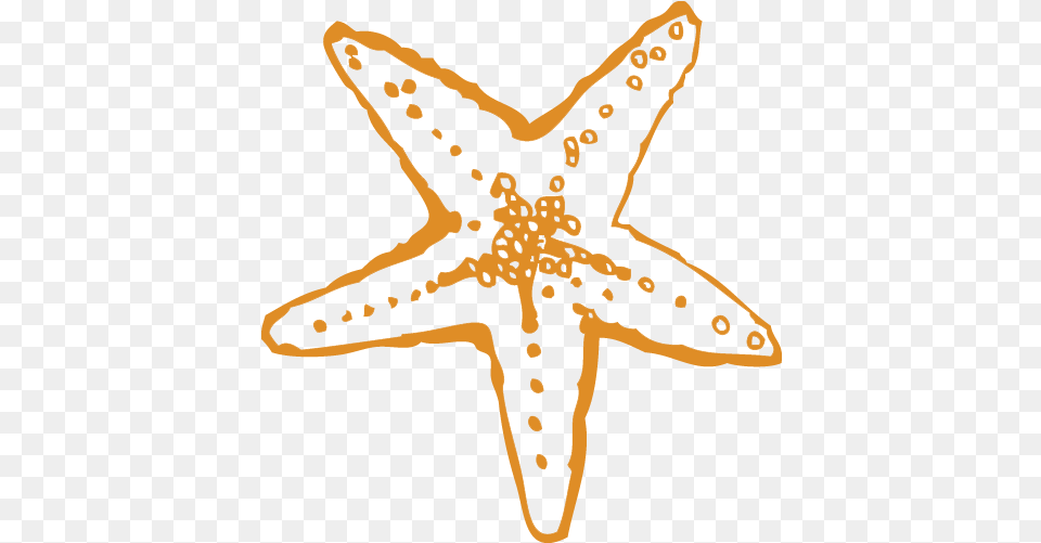 Starfish, Animal, Sea Life, Invertebrate Free Png Download