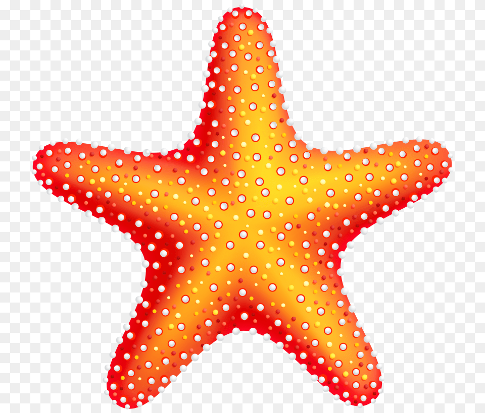 Starfish, Animal, Sea Life, Invertebrate Free Transparent Png