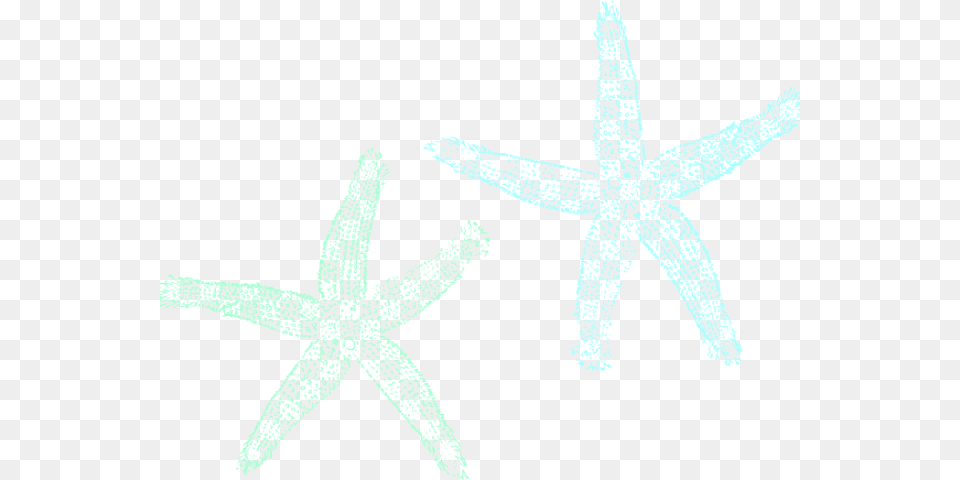 Starfish, Animal, Invertebrate, Sea Life Free Transparent Png