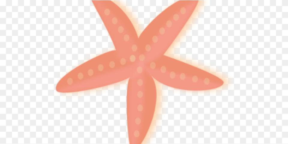 Starfish, Animal, Sea Life, Invertebrate Free Png Download