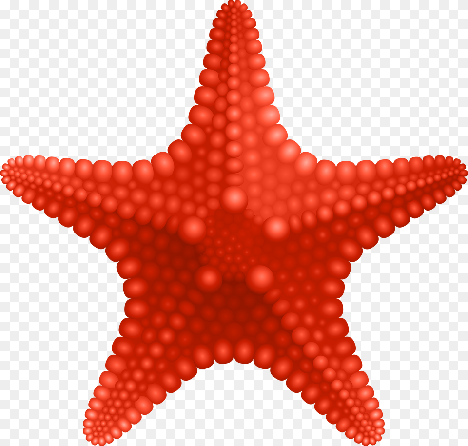 Starfish Free Transparent Png
