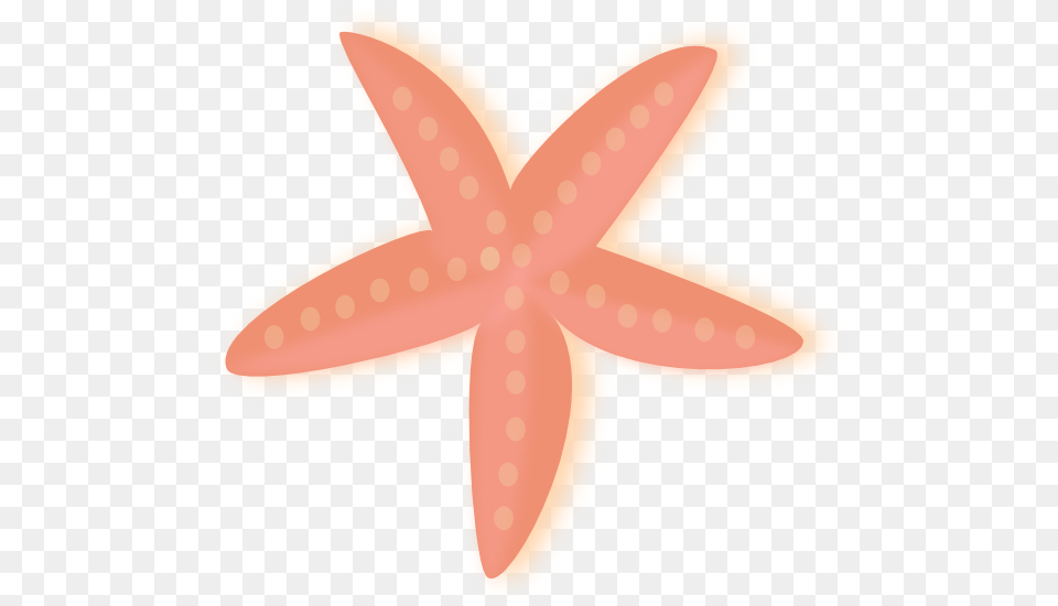 Starfish, Animal, Sea Life, Invertebrate Png