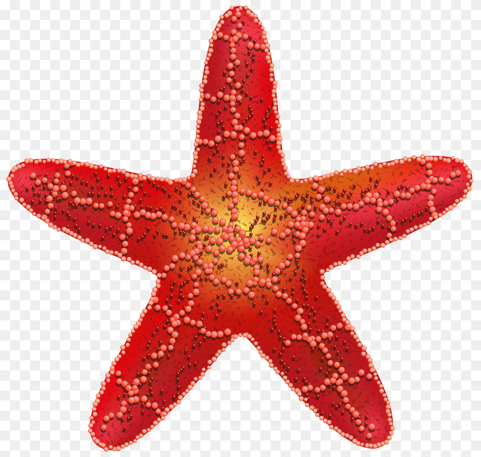 Starfish, Head, Body Part, Portrait, Face Png