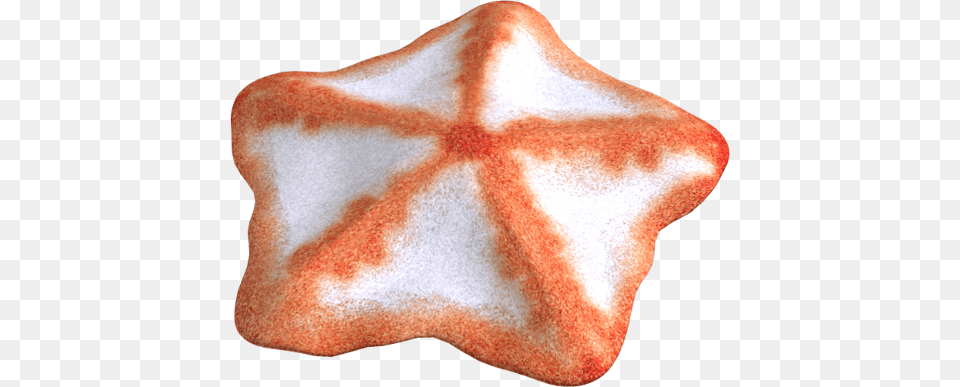 Starfish, Adult, Bride, Female, Person Png Image