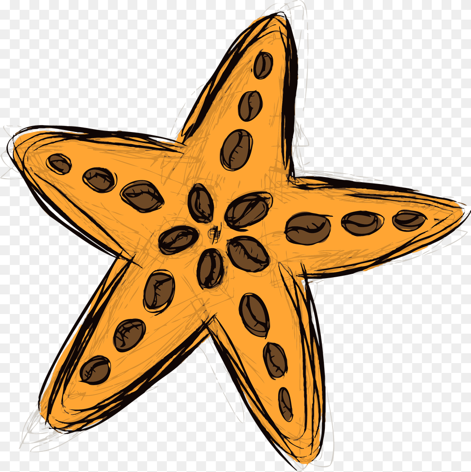 Starfish Amp Coffee Starfish, Star Symbol, Symbol, Person, Animal Free Png Download