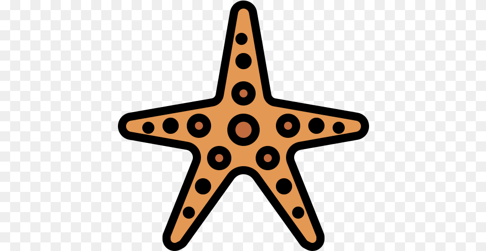 Starfish Animals Icons Dot, Lighting, Symbol, Star Symbol, Aircraft Free Png