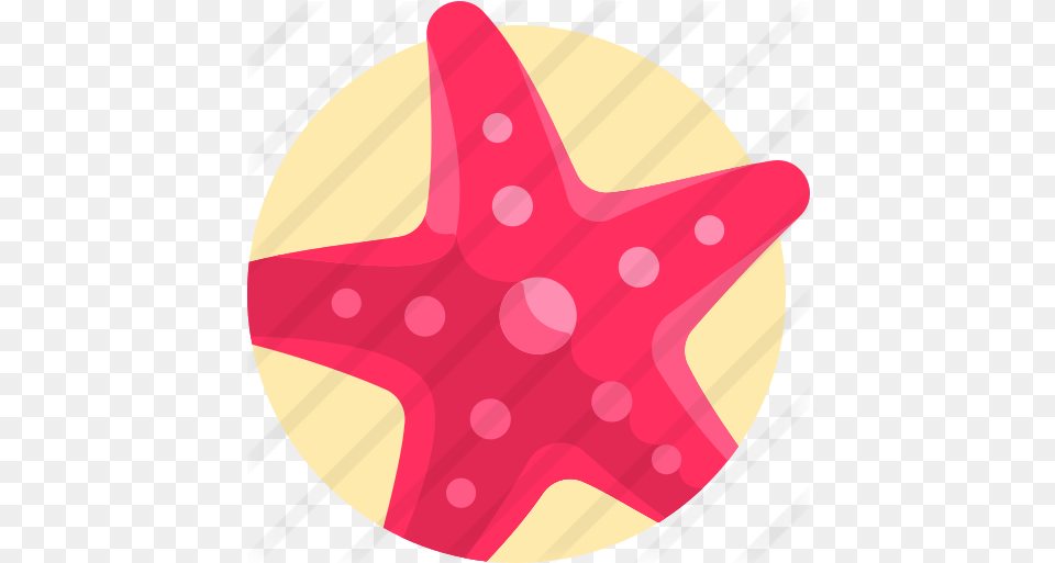 Starfish Animals Icons Starfish, Animal, Sea Life, Food, Ketchup Free Png