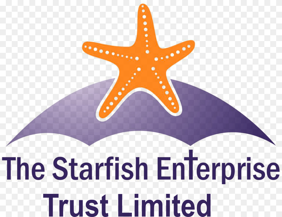 Starfish Basingstoke Starfish, Symbol, Animal, Sea Life Png Image