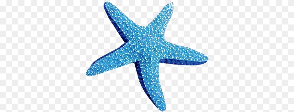 Starfish Blue Bluepng Bluepngs Blue Starfish, Animal, Sea Life, Invertebrate, Fish Free Png Download