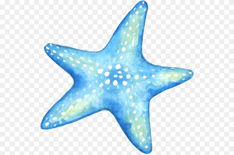 Starfish Blue Star Stickers Sticker Logo, Animal, Sea Life, Fish, Invertebrate Free Png