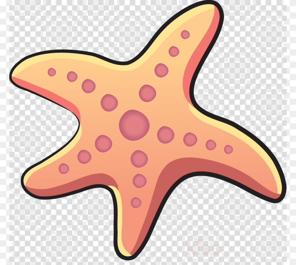 Starfish Cartoon Gambar Bintang Laut Kartun, Animal, Sea Life, Invertebrate, Reptile Free Png Download