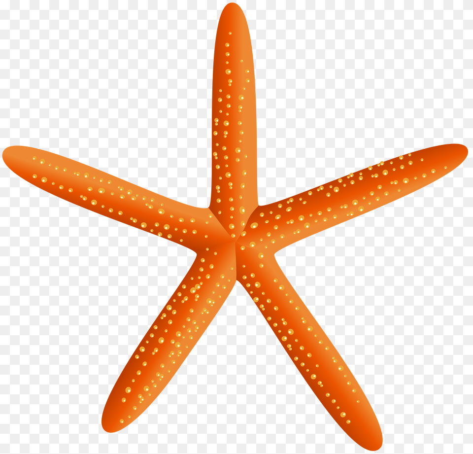 Starfish Clip Art, Cross, Symbol, Animal, Sea Life Png Image