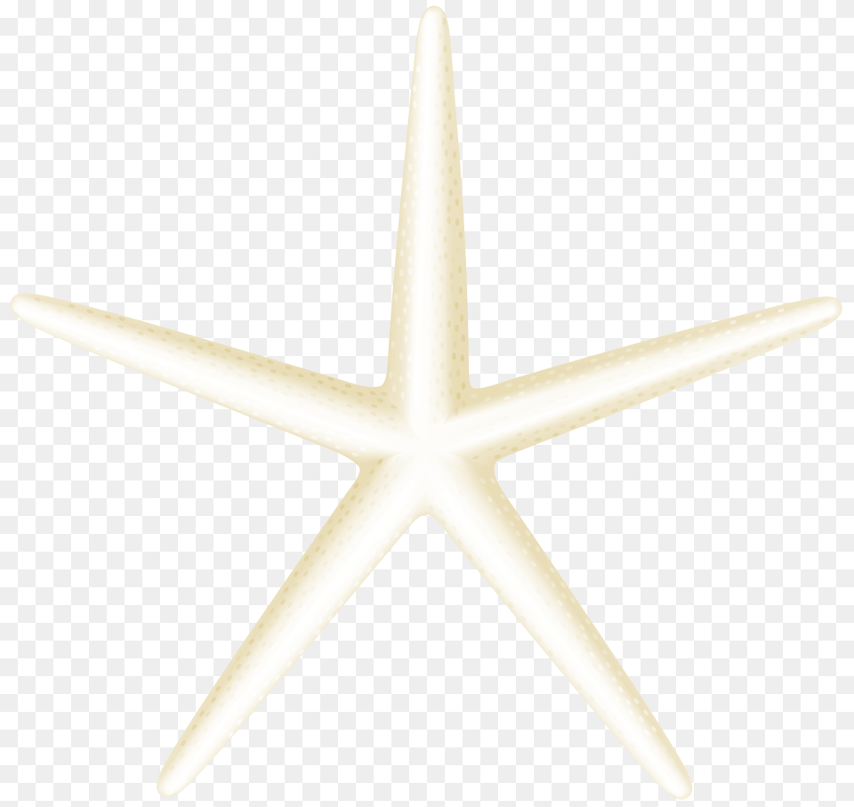 Starfish Clip Art, Symbol, Animal, Sea Life, Appliance Free Transparent Png
