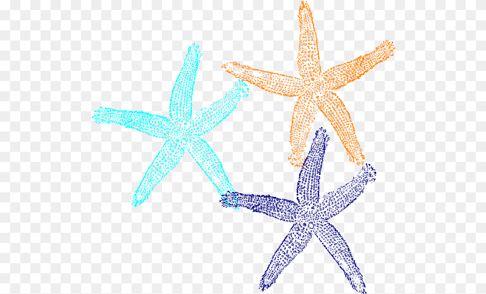 Starfish Clip Art Dark Blue Star Fish, Animal, Invertebrate, Sea Life, Cross Png