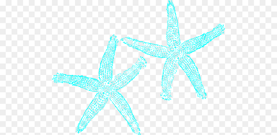 Starfish Clip Art Teal Starfish, Animal, Invertebrate, Sea Life Free Transparent Png
