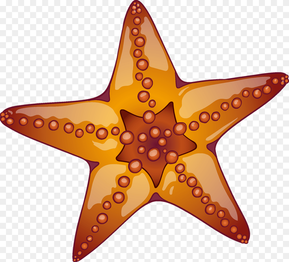 Starfish Clipart, Animal, Fish, Sea Life, Shark Png